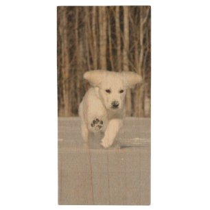 White Golden Retriever Puppy in Snow Wood Flash Drive