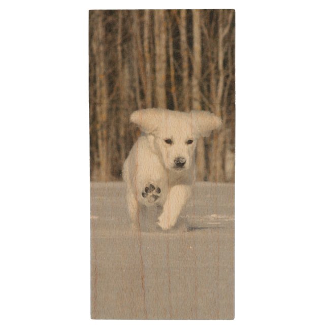 White Golden Retriever Puppy in Snow Wood Flash Drive (Front Vertical)