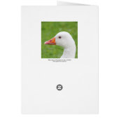 White Goose Cards (Back)