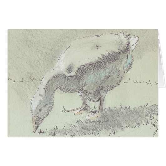 White Goose drawing Cards (Front Horizontal)
