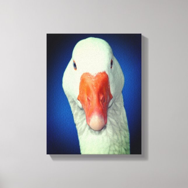 White Goose Face Farm Animal Canvas Print (Front)