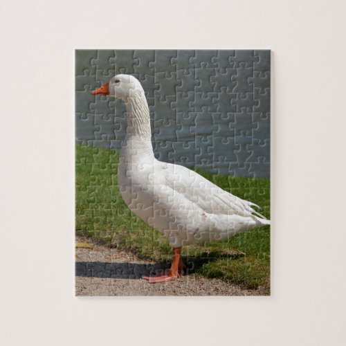 White goose near of pond jigsaw puzzle