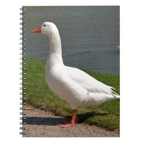 White goose near of pond notebook