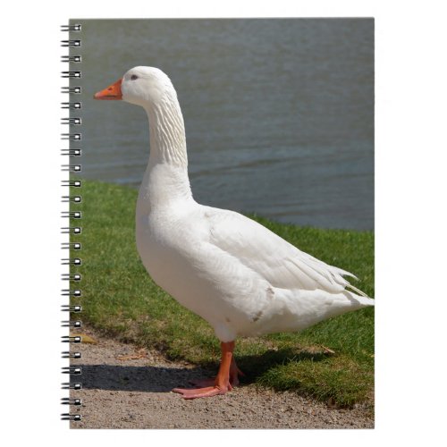 White goose near of pond notebook