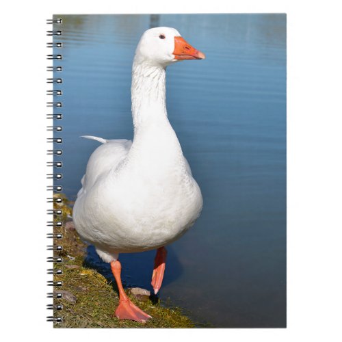 White goose on grass notebook
