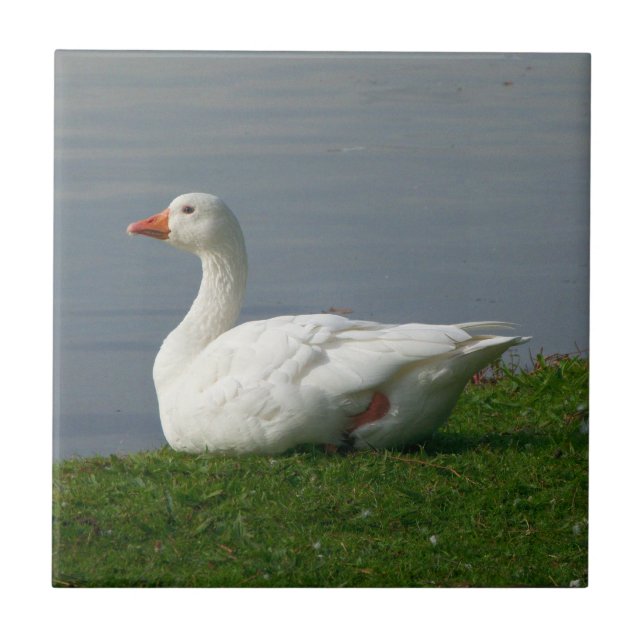 White Goose Tile (Front)