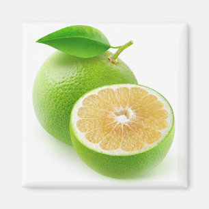 White grapefruit magnet