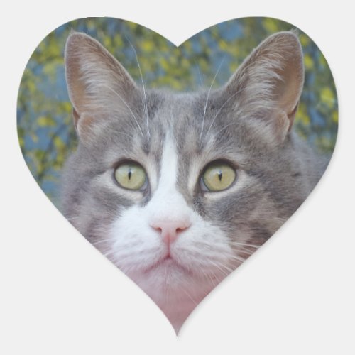 WhiteGray Cat Heart Sticker