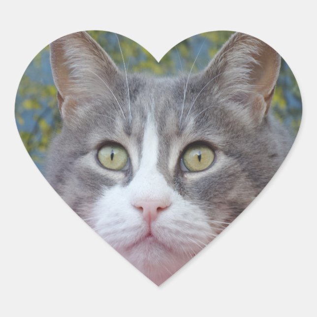 White/Gray Cat Heart Sticker (Front)