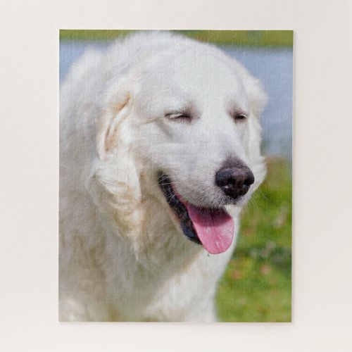 White Great Pyrenees Livestock Guardian Dog Jigsaw Puzzle