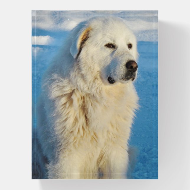 White Great Pyrenees Livestock Guardian Dog Paperweight (Vertical)