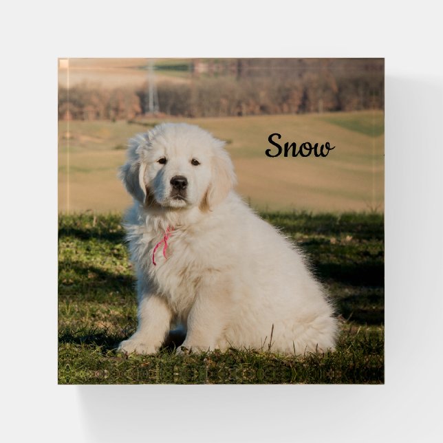 White Great Pyrenees Livestock Guardian Dog Puppy Paperweight (Front)