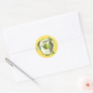 White Green Blossom Flower Summer Garden Wedding Classic Round Sticker