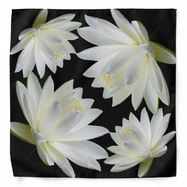 White Grey Water Lilies Square Bandana Black Bkg (Front)