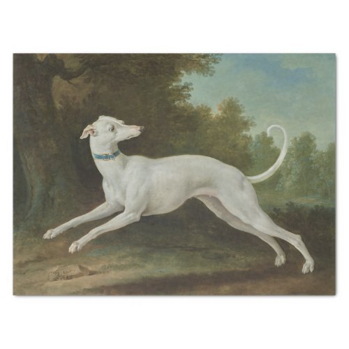 White Greyhound Dog by Jean_Baptiste Oudry Tissue Paper
