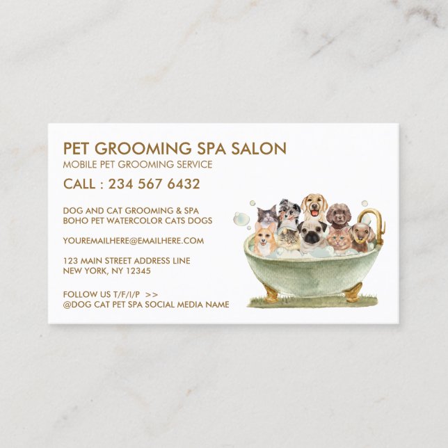 White Grooming Pet Bath Spa Cats Dogs Appointment Business Card (Front)