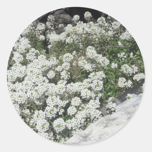 White Ground Cover Sticker