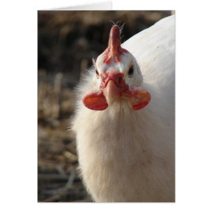 White Guinea Fowl Cards