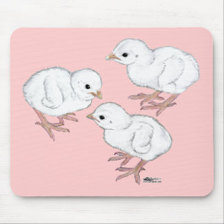 White Guinea Keets Mouse Pad