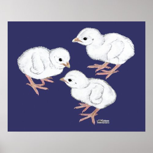 White Guinea Keets Poster