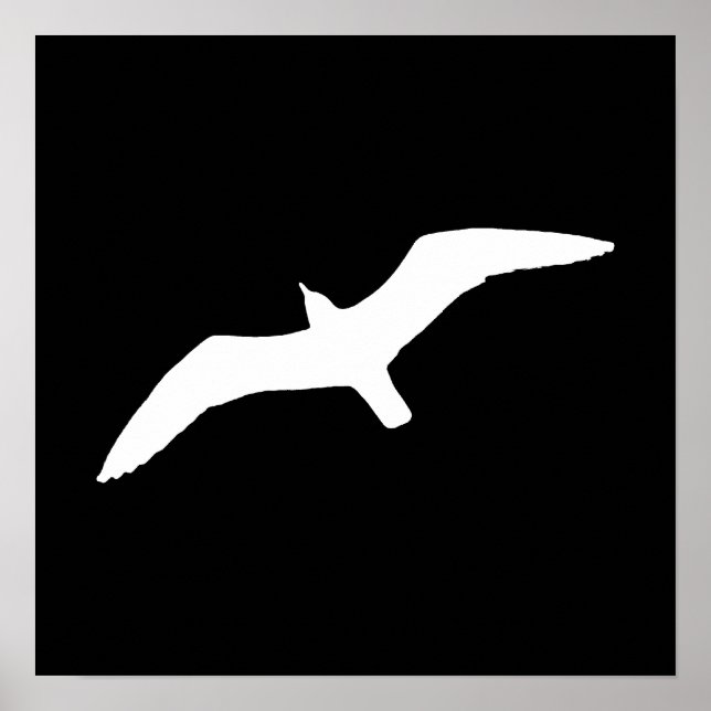 White Gull Poster (Front)