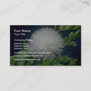 white Haele lehua (Calliandra inaequilatera) flowe Business Card