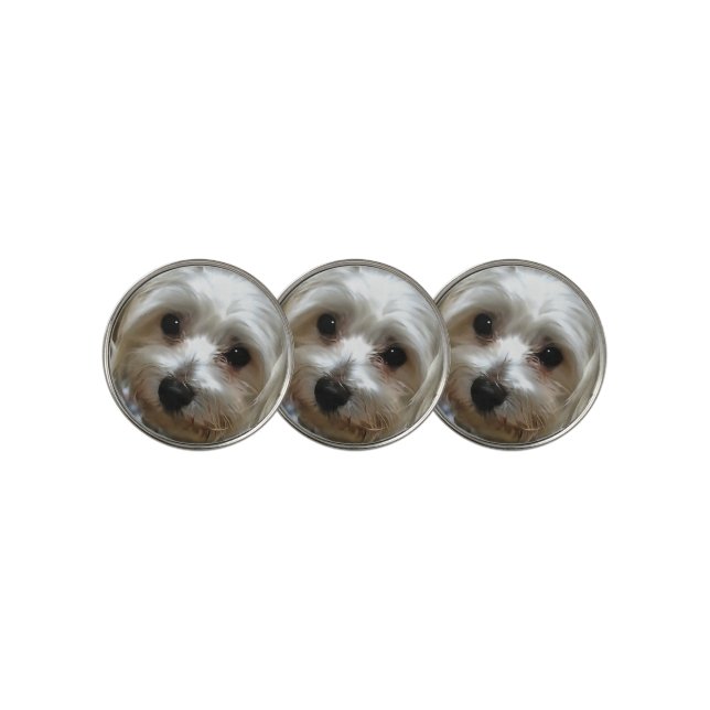 White Haired Street Dog Portrait Golf Ball Marker (3 Up)
