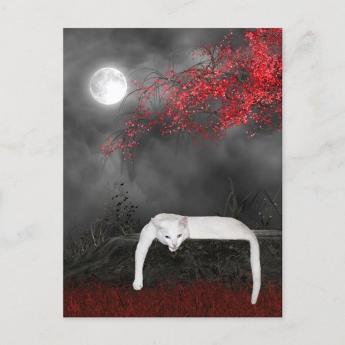 White Halloween cat Postcard