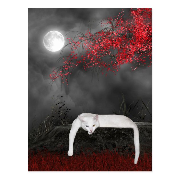 White Halloween Cat Postcard