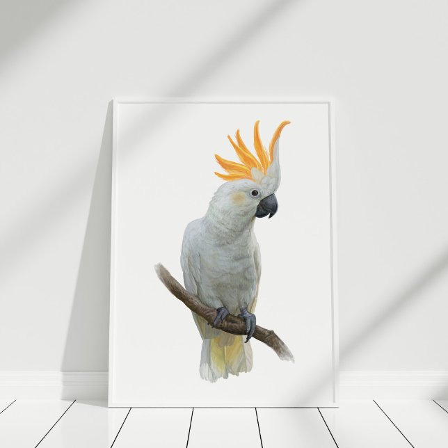 White Hand drawn Cockatoo Poster (White Hand drawn Cockatoo Poster in white frame)
