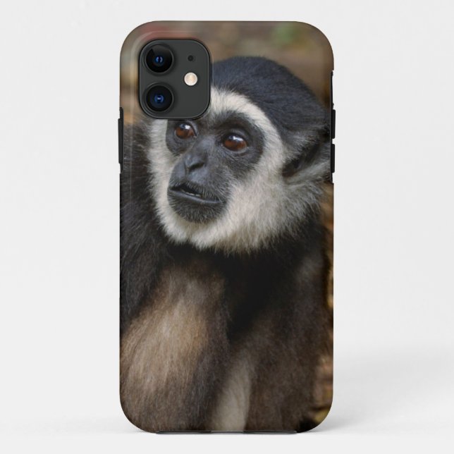 White-Handed Gibbon (Hylobates Lar), Monkeyland Case-Mate iPhone Case (Back)