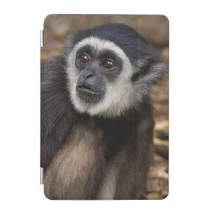White-Handed Gibbon (Hylobates Lar), Monkeyland iPad Mini Cover
