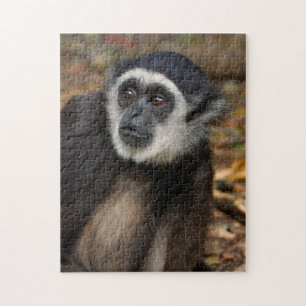 White-Handed Gibbon (Hylobates Lar), Monkeyland Jigsaw Puzzle