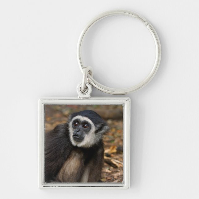 White-Handed Gibbon (Hylobates Lar), Monkeyland Keychain (Front)
