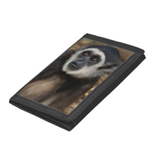 White-Handed Gibbon (Hylobates Lar), Monkeyland Tri-fold Wallet