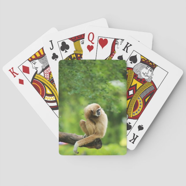 White Handed Gibbon on a Tree Poker Cards (Back)