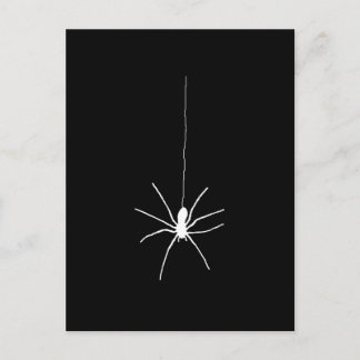 White Hanging Spider Postcard