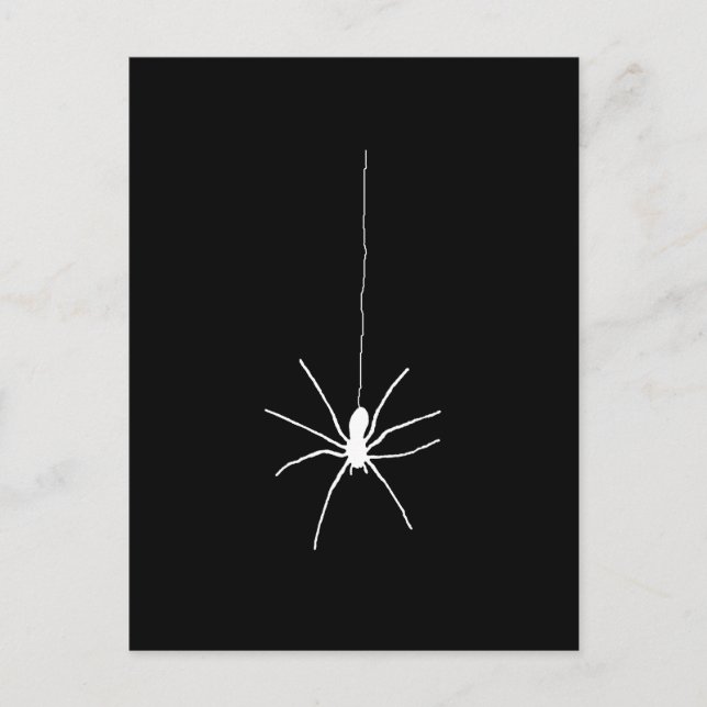 White Hanging Spider Postcard (Front)