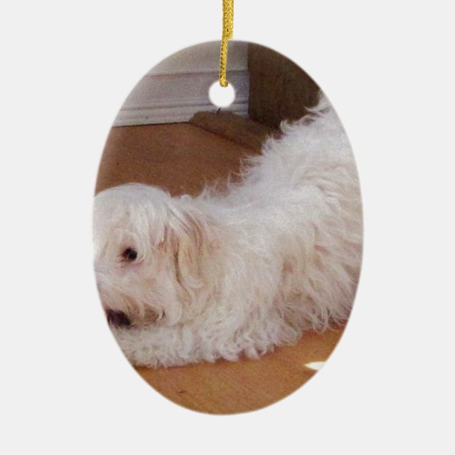 White Havanese Puppy Playing with Red Ball Ceramic Ornament (Front)