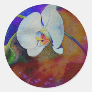 White Hawaiian orchid watercolor painting Classic Round Sticker