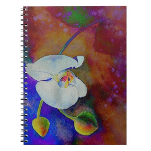 White Hawaiian orchid watercolor painting Notebook