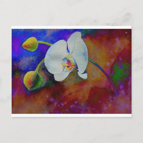 White Hawaiian orchid watercolor painting Postcard