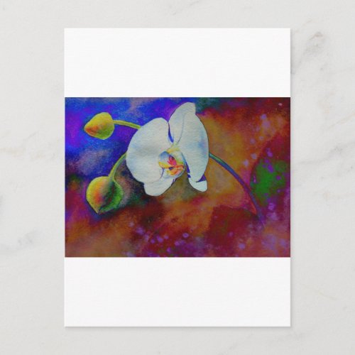 White Hawaiian orchid watercolor painting Postcard