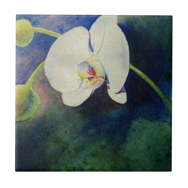 White Hawaiian orchid watercolor painting Tile (Front)