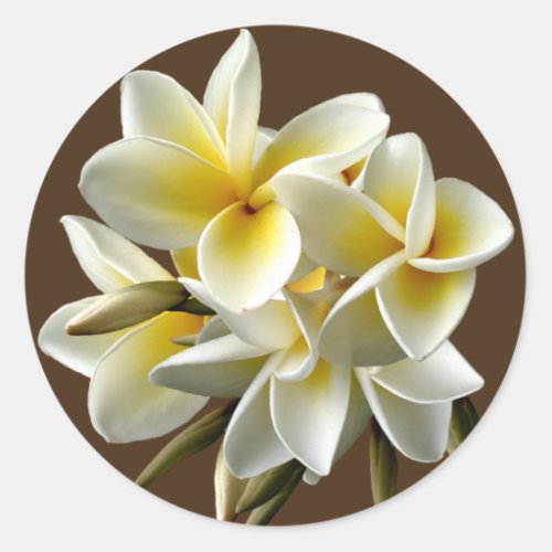 White Hawaiian Plumeria Floral Stickers