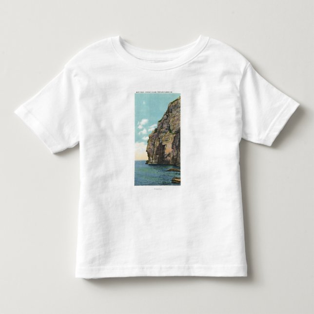 White Head in the Portland Harbor Toddler T-shirt (Front)