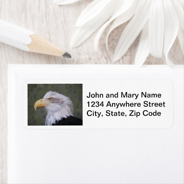 White Headed Bald Eagle Address Label (Insitu)