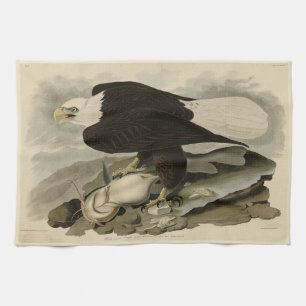White-headed (Bald Eagle) Audubon Birds of America Kitchen Towel