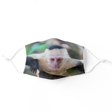 White headed capuchin monkey resting - Costa Rica Cloth Face Mask White headed capuchin monkey resting - Costa Rica Cloth Face Mask