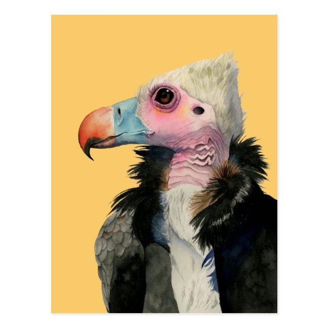 White-Headed Vulture Watercolor Painting